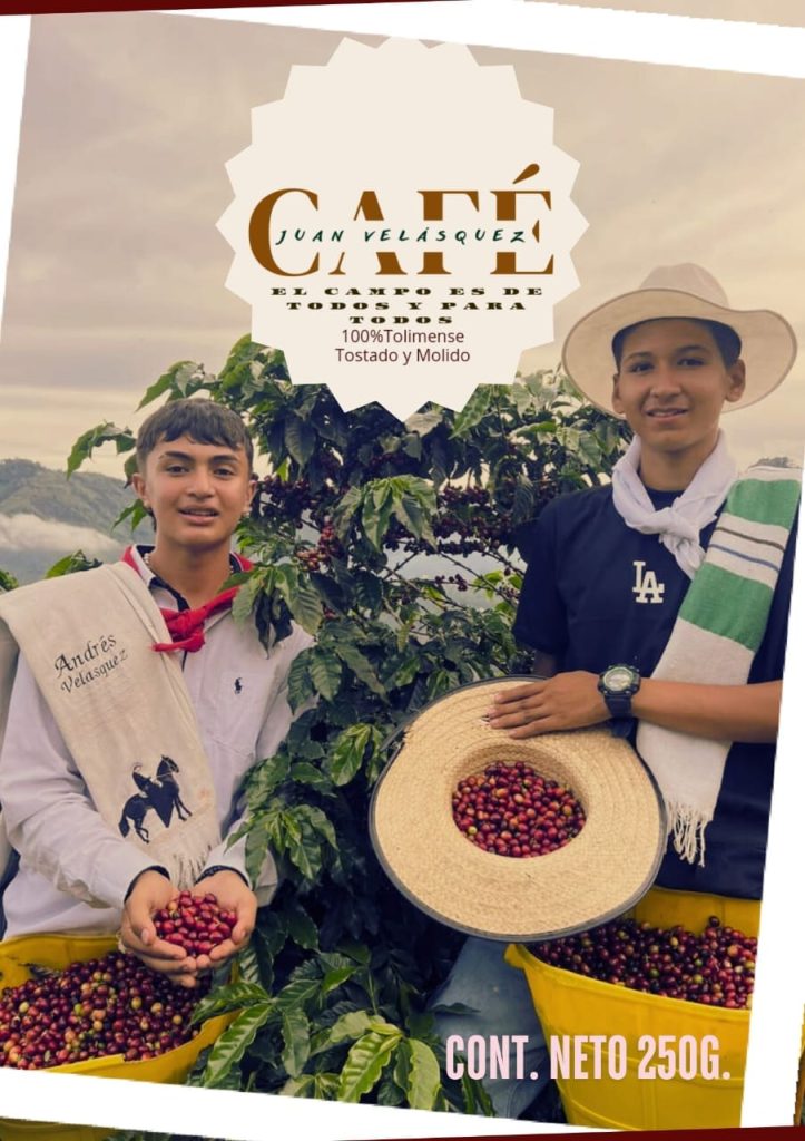 Luiz y Juan recolectando cafe