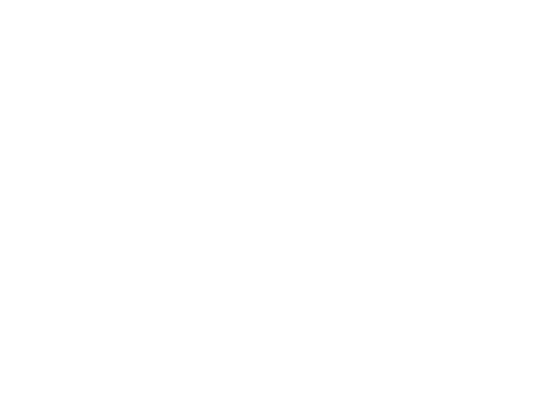 IMS - Movemos tus fibras