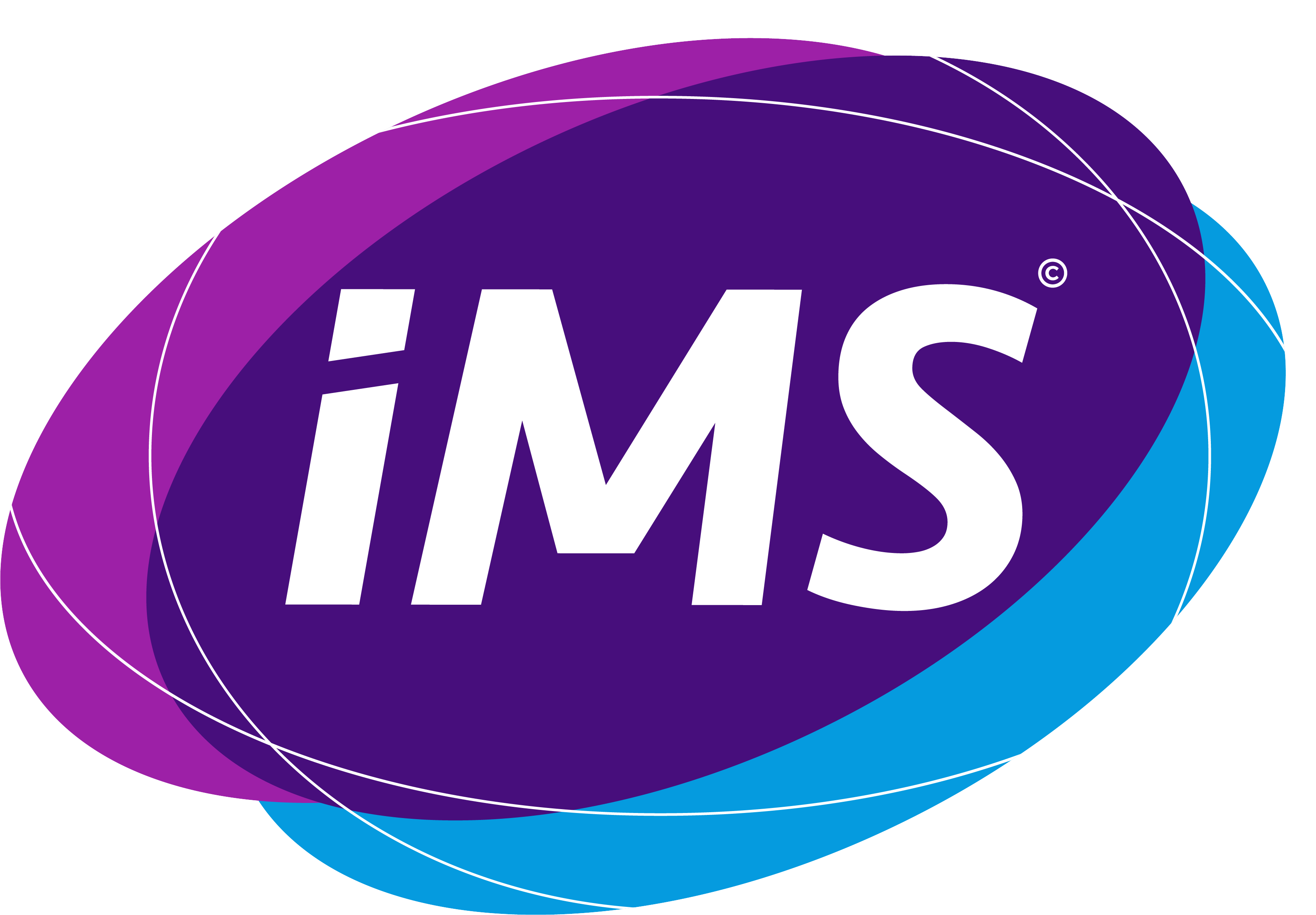 IMS Logo