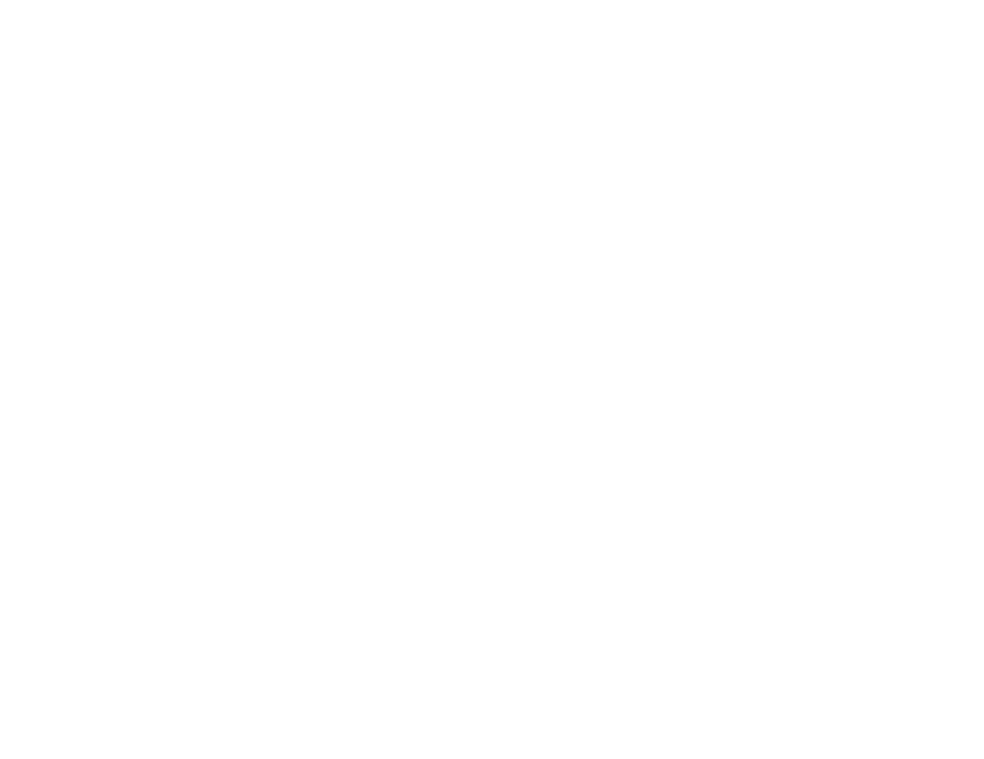 IMS – Internet dedicado